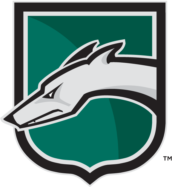 Loyola-Maryland Greyhounds 2002-Pres Alternate Logo v2 iron on transfers for clothing